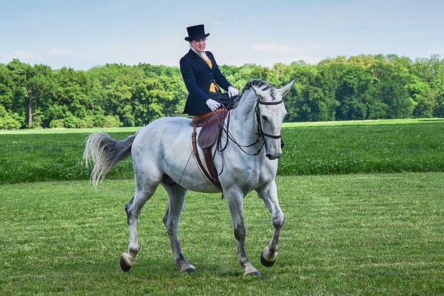 Autosuggestion hilft, das innere Pferd zu reiten