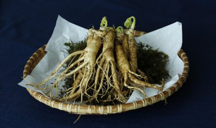 Ginseng ist eines der bekanntesten Adaptogene