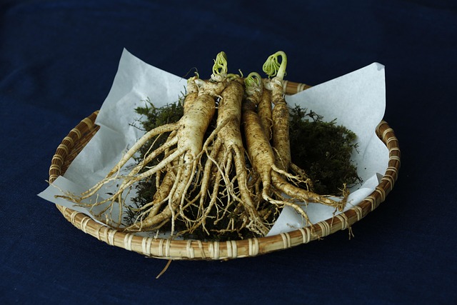 Adaptogene: Kein Stress