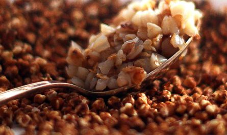 Buchweizen ist ein gesundes und leckeres Pseudogetreide