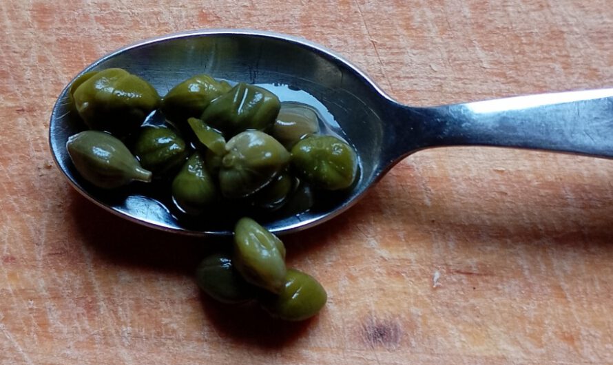 Für was sind Kapern gesund?